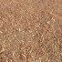 Holz Tree Bark Mulch - Rakochi Design