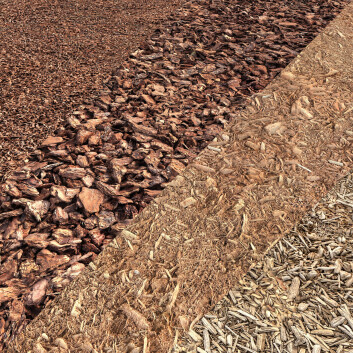 Bois Tree Bark Mulch Modèle 3D