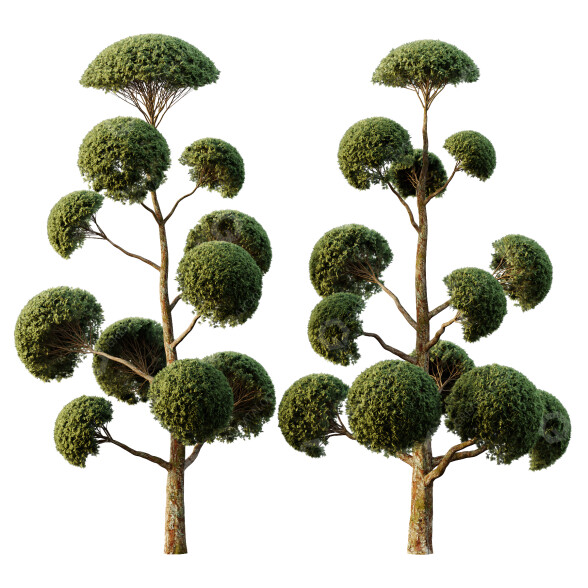 Árboles Esférico 01 Modelo 3D