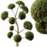 Arbres Sphérique 02 - hyperion