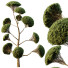 Arbres Sphérique 02 - hyperion