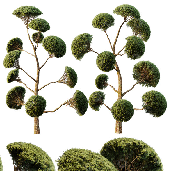 Arbres Sphérique 02 modèle 3D