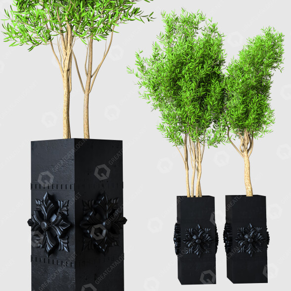 Potted Plants Indoor Plants Vol 27 3D model
