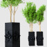 Potted Plants Indoor Plants Vol 27 - uniquevry