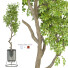 Potted Plant Indoor Vol 30 - uniquevry