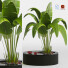 Potted Plant Indoor Vol 31 - uniquevry