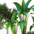 Potted Plants Indoor Vol 42 - uniquevry