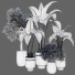 Potted Plants Indoor Vol 42 - uniquevry
