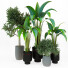 Potted Plants Indoor Vol 42 - uniquevry