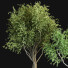 Potted Plants Indoor Vol 44 - uniquevry