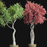 Potted Plants Indoor Vol 44 - uniquevry