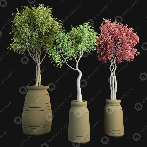 Potted Plants Indoor Vol 44 3D model