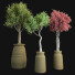 Potted Plants Indoor Vol 44 - uniquevry