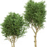 Potted Plants Indoor Vol 45 - uniquevry