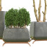 Potted Plants Indoor Vol 45 - uniquevry