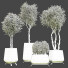 Potted Plants Indoor Vol 45 - uniquevry