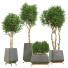 Potted Plants Indoor Vol 45 - uniquevry