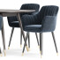 Стіл та стільці Dining Set 91 - zvezdaboy