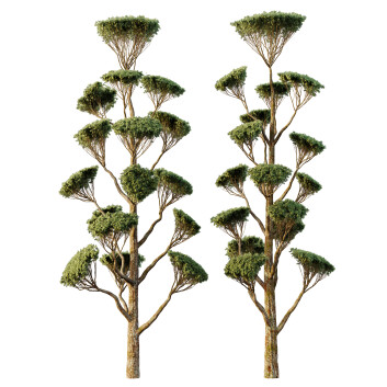 Trees  Spherical 05 3D model