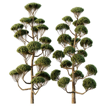 Trees  Spherical 06 3D model