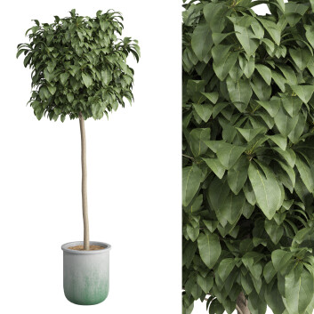 Planta en maceta  Conjunto de Arbustos 01 Modelo 3D