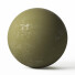 Gips Decorative 4 - Rakochi Design
