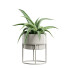 Topfpflanzen Innenset 63 - AllQuad