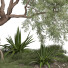 Tree and Bushes Outdoor Vol 254 - uniquevry