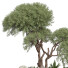 Tree and Bushes Outdoor Vol 254 - uniquevry