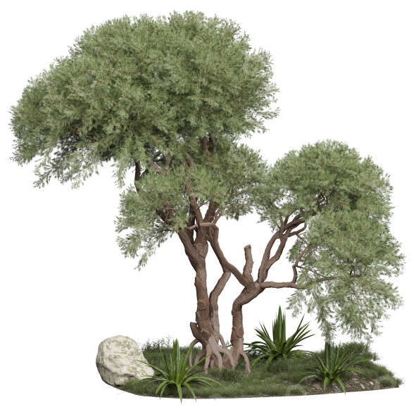 Tree and Bushes Outdoor Vol 254 3D model