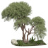 Tree and Bushes Outdoor Vol 254 - uniquevry
