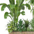 Plantes Ensemble extérieur 57 - uniquevry