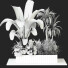Plantes Ensemble extérieur 57 - uniquevry