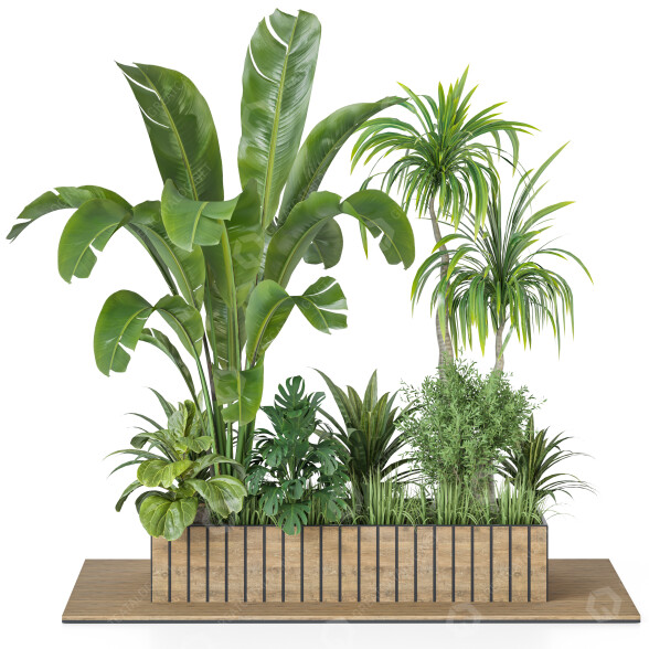 Plantes Ensemble extérieur 57 modèle 3D