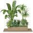 Plantes Ensemble extérieur 57 - uniquevry