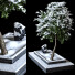 Tree Under Snow Outdoor Plant Vol 24 - uniquevry