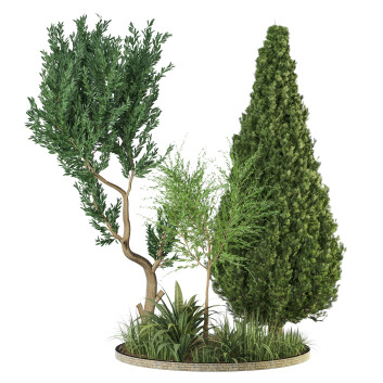 Bäume und Sträucher  Pflanzen draußen vol 40 3D-Modell