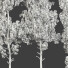 Bäume Kiefernsammlung 01 - uniquevry