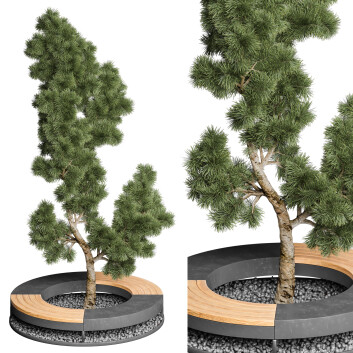 Árbol y banco Mobiliario urbano con planta 02