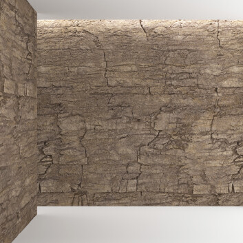 Piedra Rock Wall 4