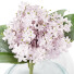 Ramo Arreglo de hortensias blancas stacy - Theorema