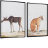 Bilder Frame Set 7# 300 - ramonfcgi-46849