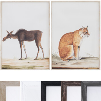 Картини  Frame Set 7# 300 3D модель