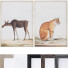 Bilder Frame Set 7# 300 - ramonfcgi-46849