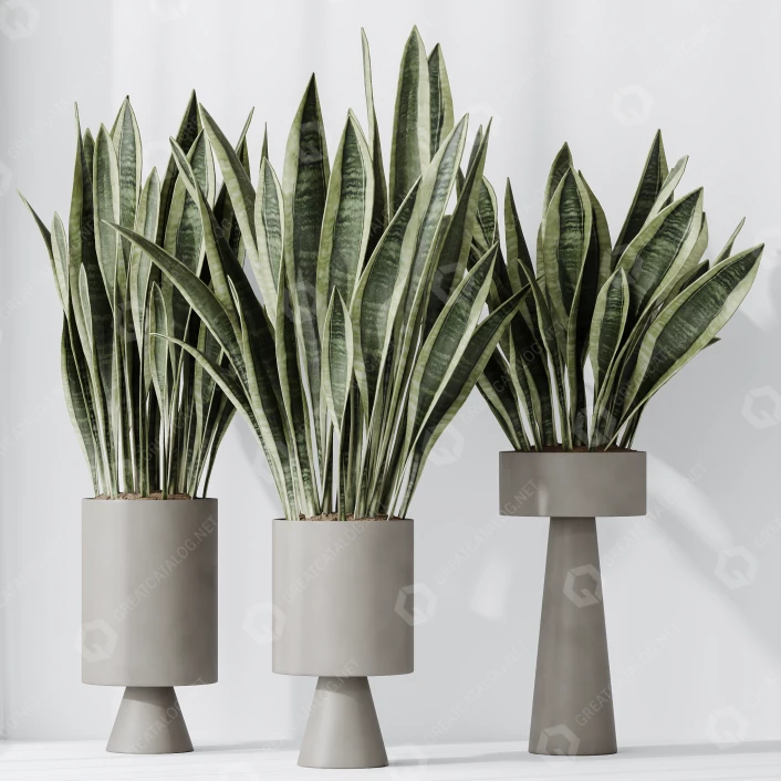organischer dnger thuja Bio-Thuja-Dnger kaufen