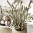 Decoración Set 60 - zelli.omid