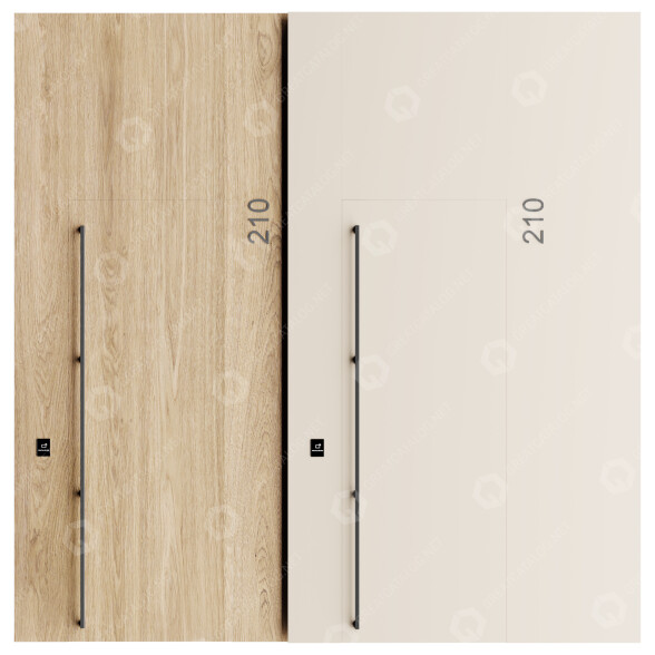 Входные двери Set 014 3D модель