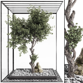 Árbol y Piedra Conjunto de Colección 194