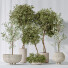 Rośliny doniczkowe Olive Artificial Olea - Pandora-land