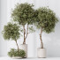 Rośliny doniczkowe Olive Artificial Olea - Pandora-land